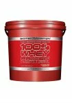 100% Whey Protein Professional (5 кг), Scitec Nutrition