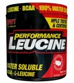 Performance L-Leucine (200 г), SAN